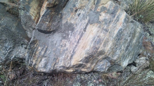 Гигантские зелёные валуны для ландшафтного дизайна весом более 5 тонн купить в Обнинску