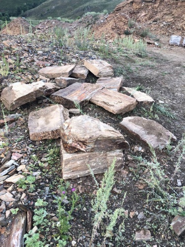 Плитняк кора дерева 50-100мм для пошаговых дорожек купить в Обнинску